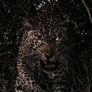 玩弄涨奶孕妇到高潮
