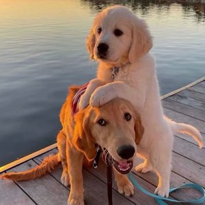 玩弄涨奶孕妇到高潮
